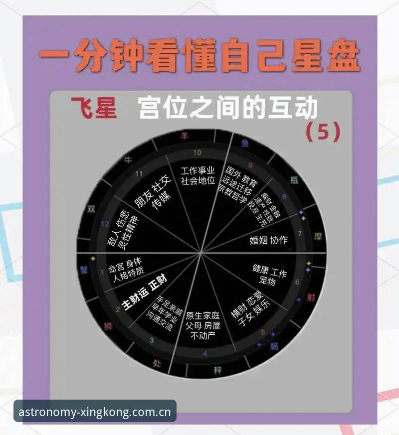 XINGKONG天体数据教程 XINGKONG天体数据教程:避开这5个坑,效率翻倍